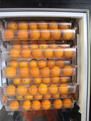 Temps fraîchement serré froid de longue durée de distributeur automatique de jus d'orange de réfrigérateur